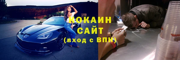 тгк Гусев