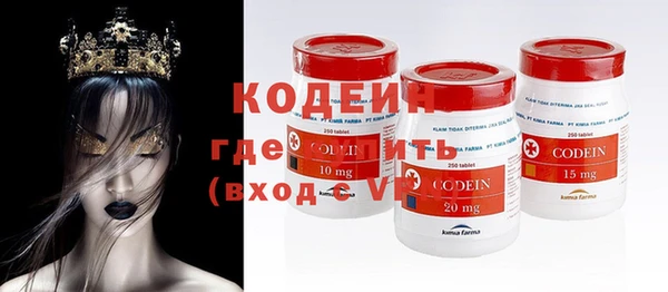 тгк Гусев
