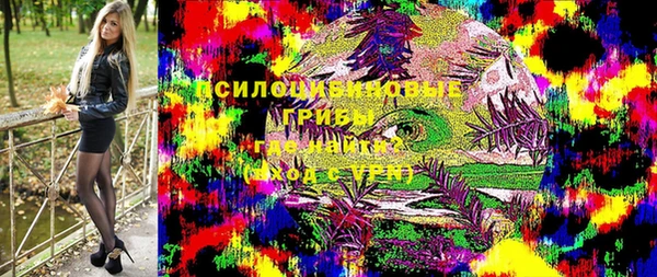 тгк Гусев
