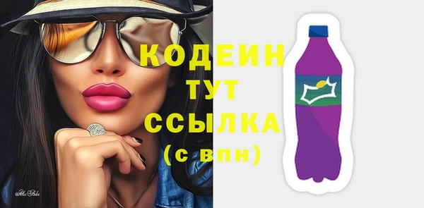 тгк Гусев