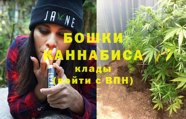 тгк Гусев