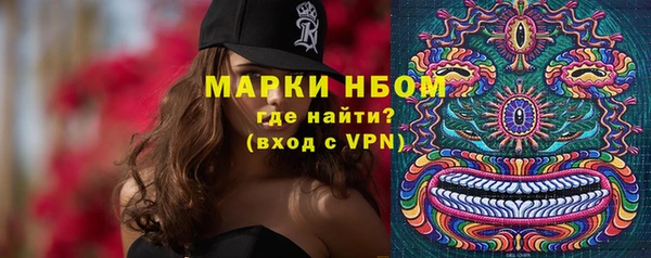 тгк Гусев