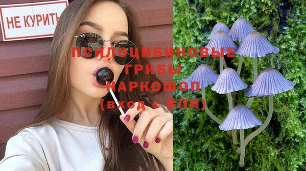 тгк Гусев