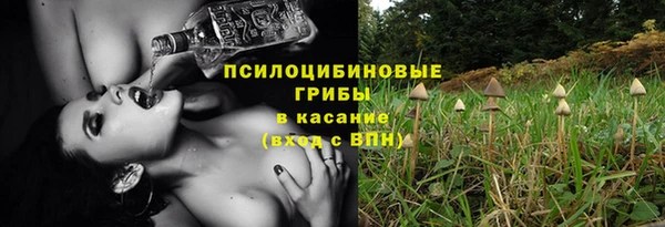 первитин Гусь-Хрустальный