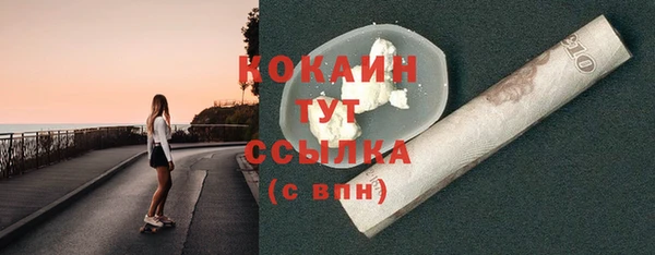 тгк Гусев