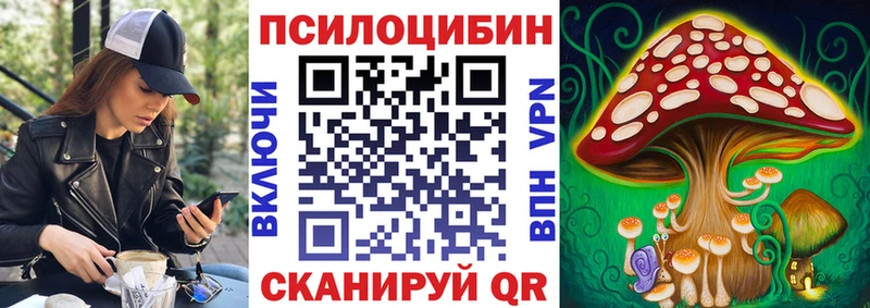 Купить закладки  Кяхта  Псилоцибиновые грибы MAGIC MUSHROOMS 